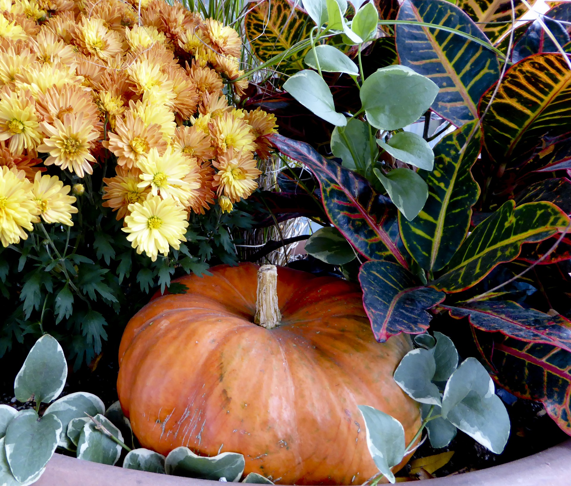 flowers pumpkin planter free photo