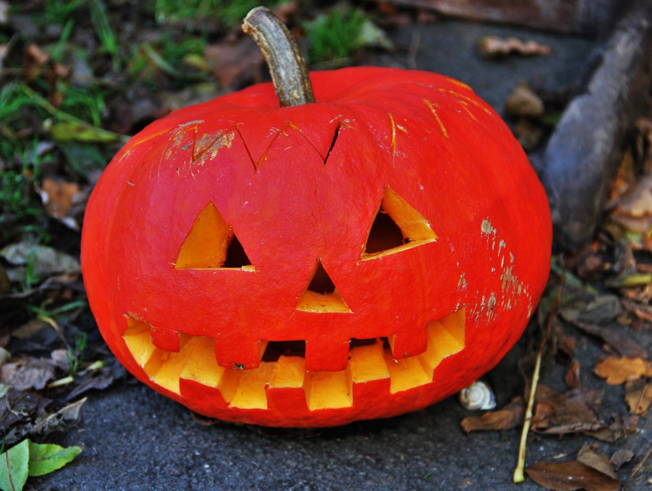 pumpkin head,halloween,thanksgiving,decoration,funny,orange color,garden de...