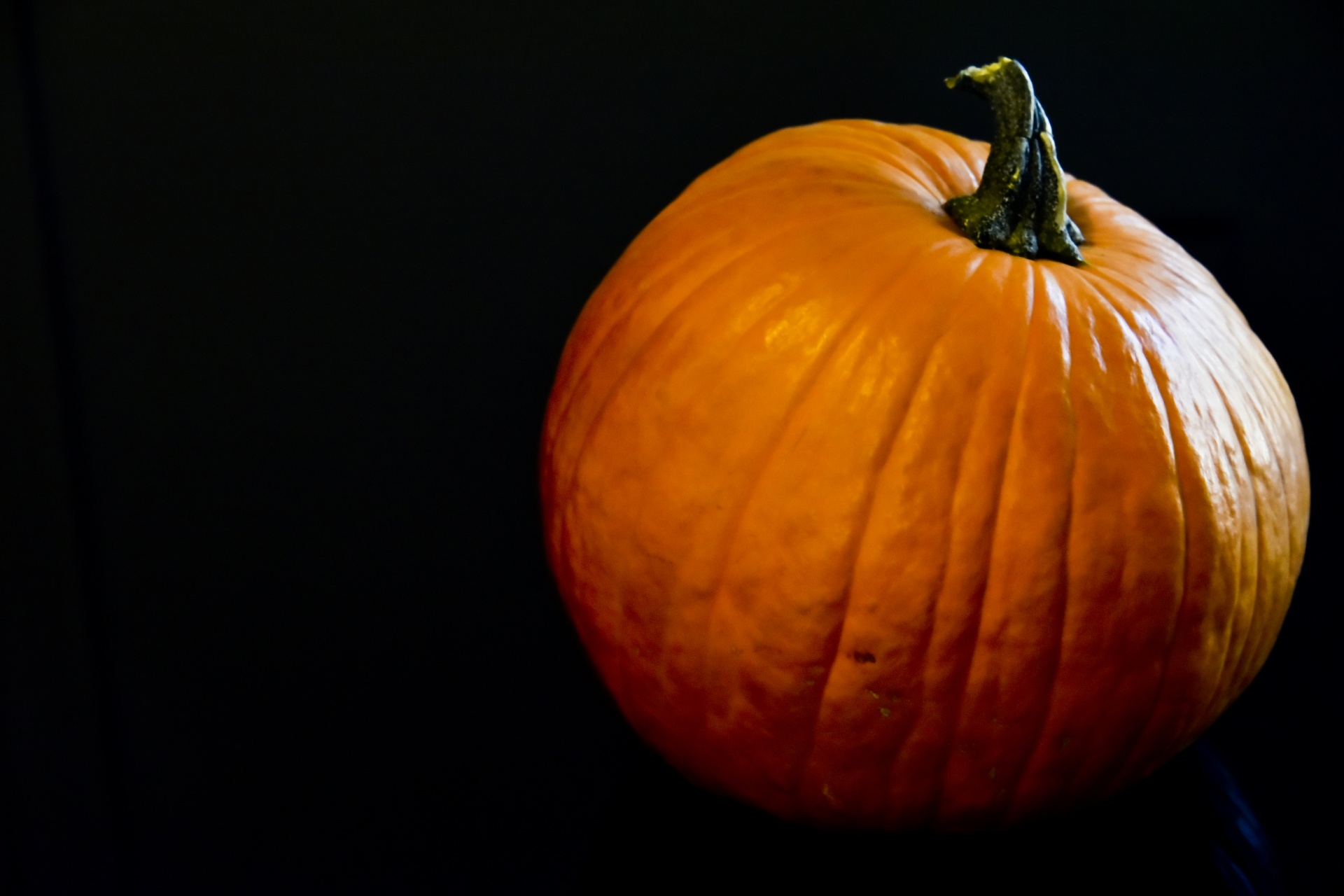 pumpkin black simple free photo