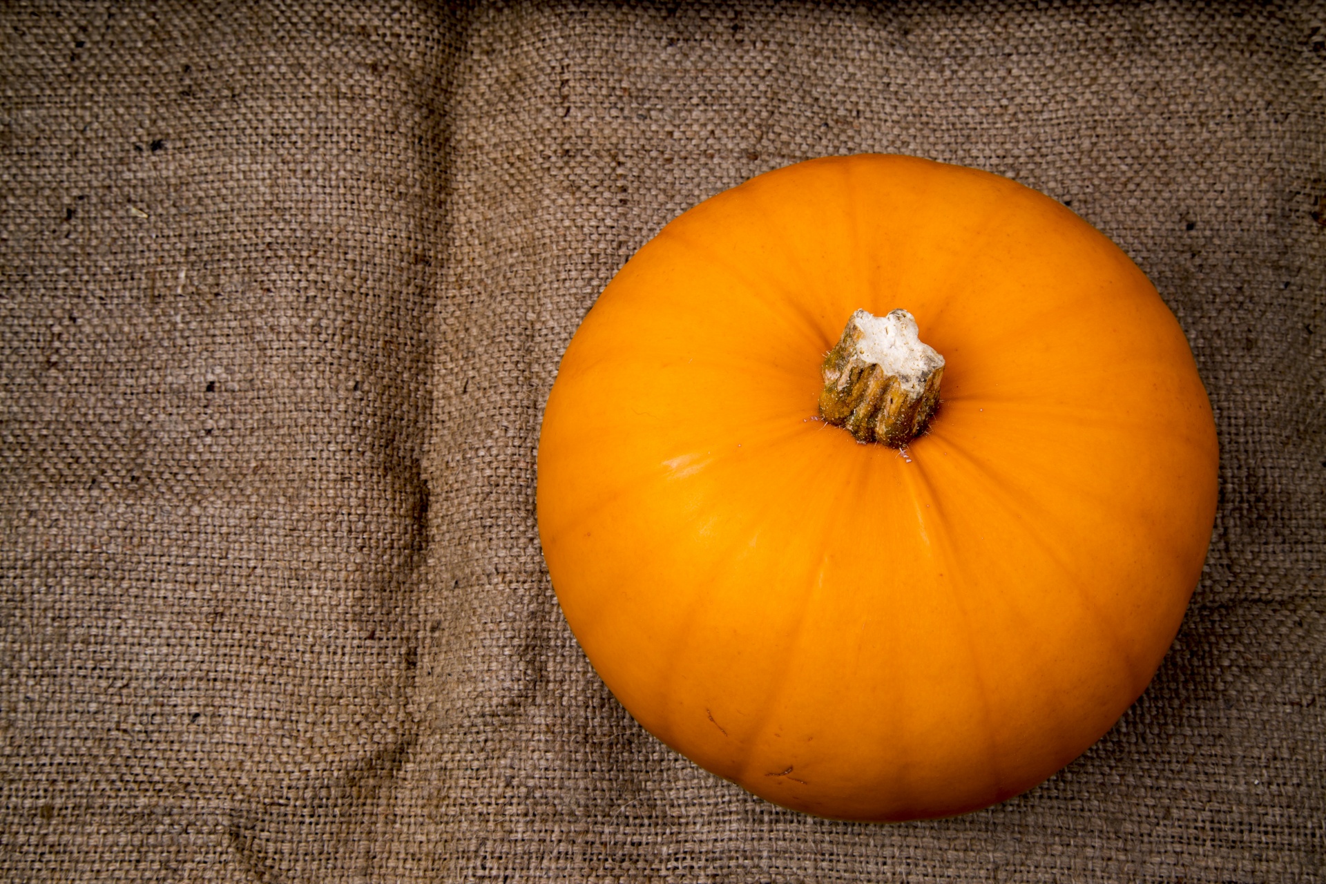 pumpkin halloween decoration free photo