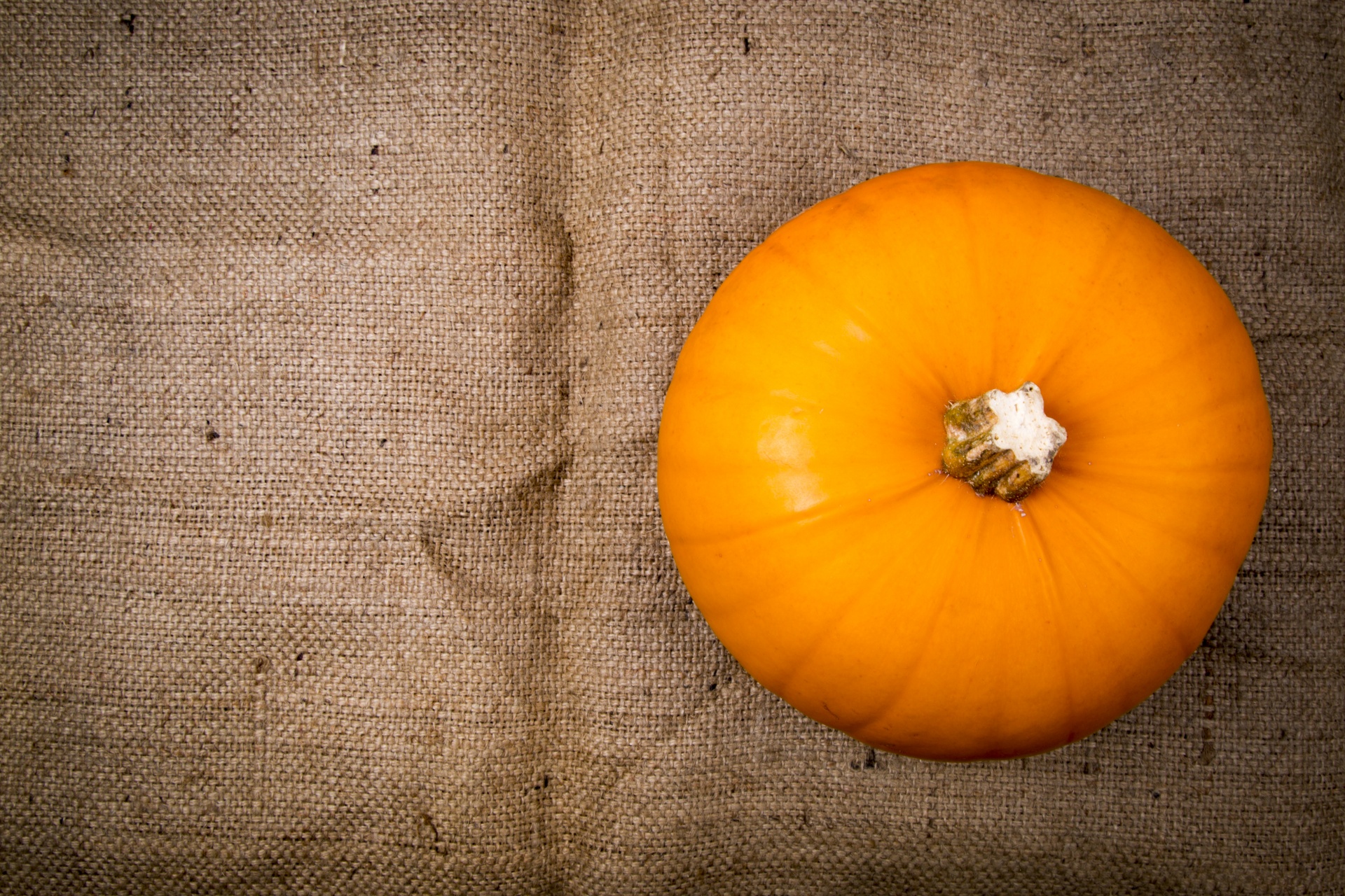 pumpkin halloween decoration free photo