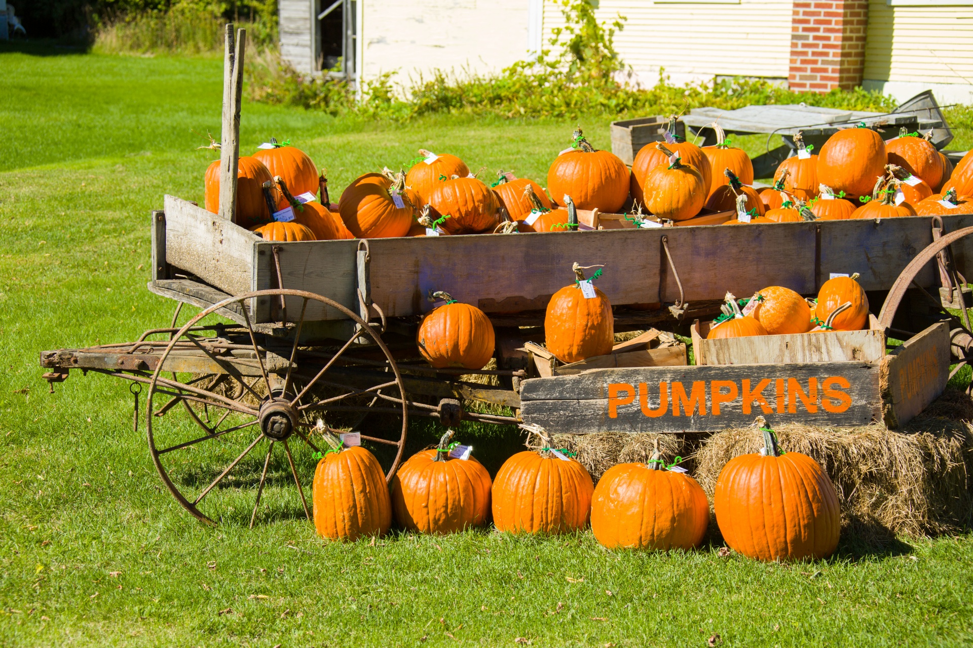 Edit free photo of Autumn,cart,fall,farm,field - needpix.com.