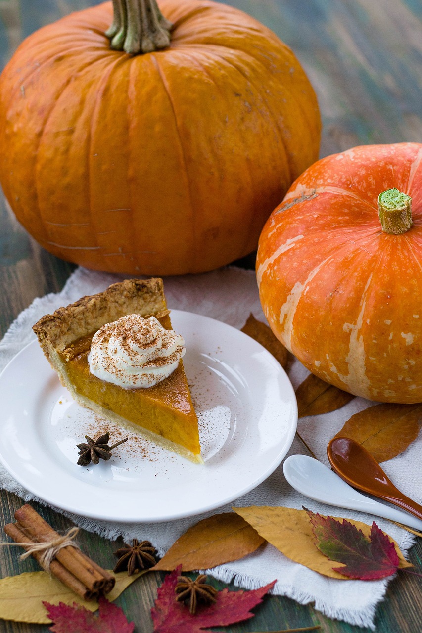 pumpkin pie autumn pumpkin free photo