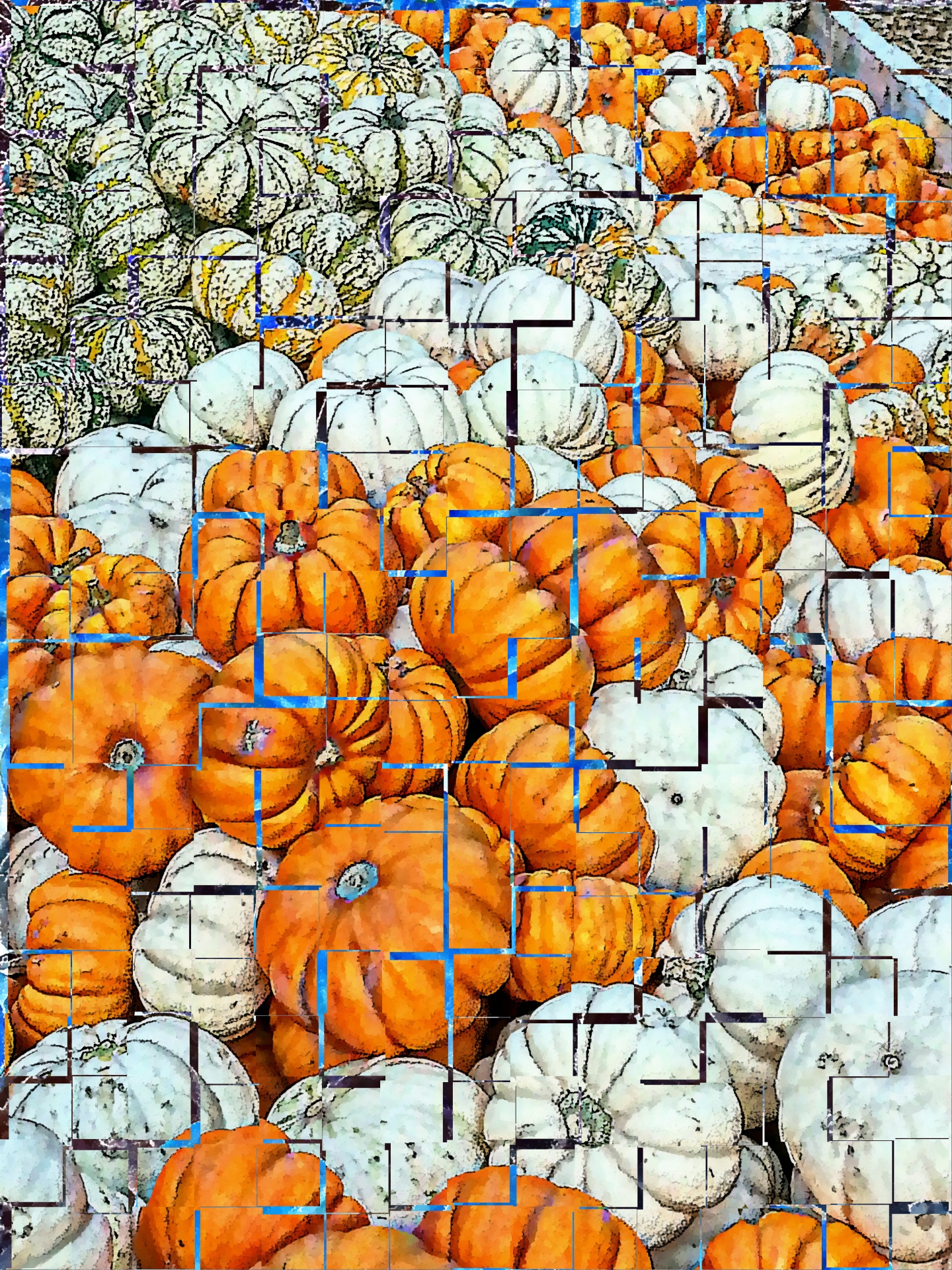 background pumpkin pumpkins green free photo