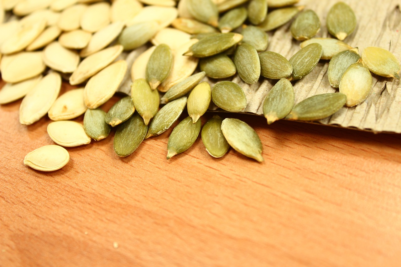 pumpkin seeds seed vegetable free photo