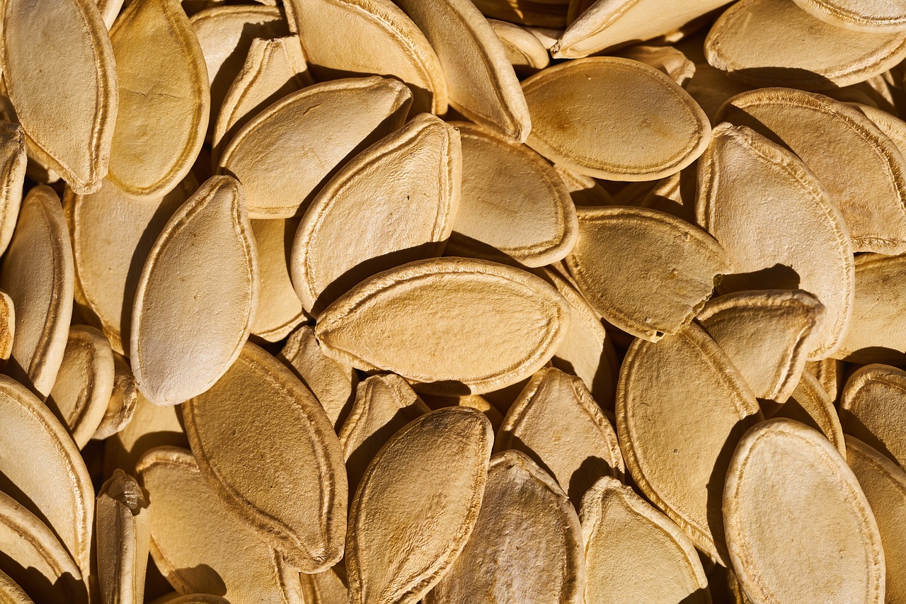 pumpkin seeds seed pumpkin free photo