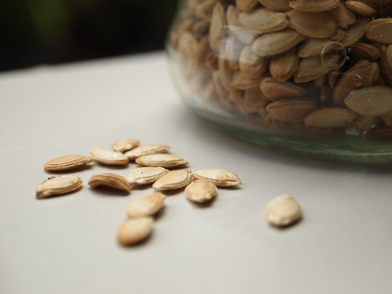 pumpkin seeds seed grain free photo