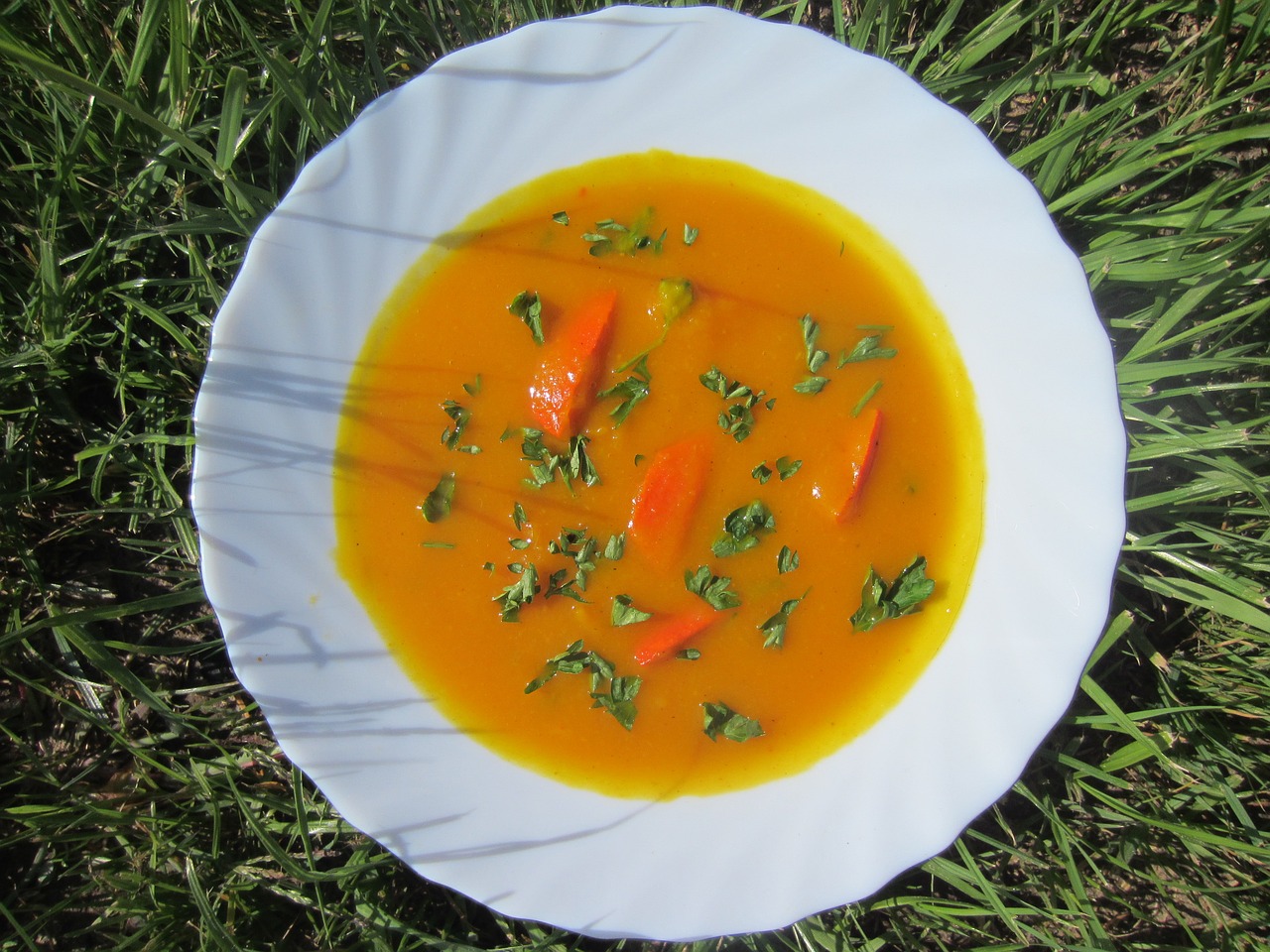 pumpkin soup hokkaido orange free photo