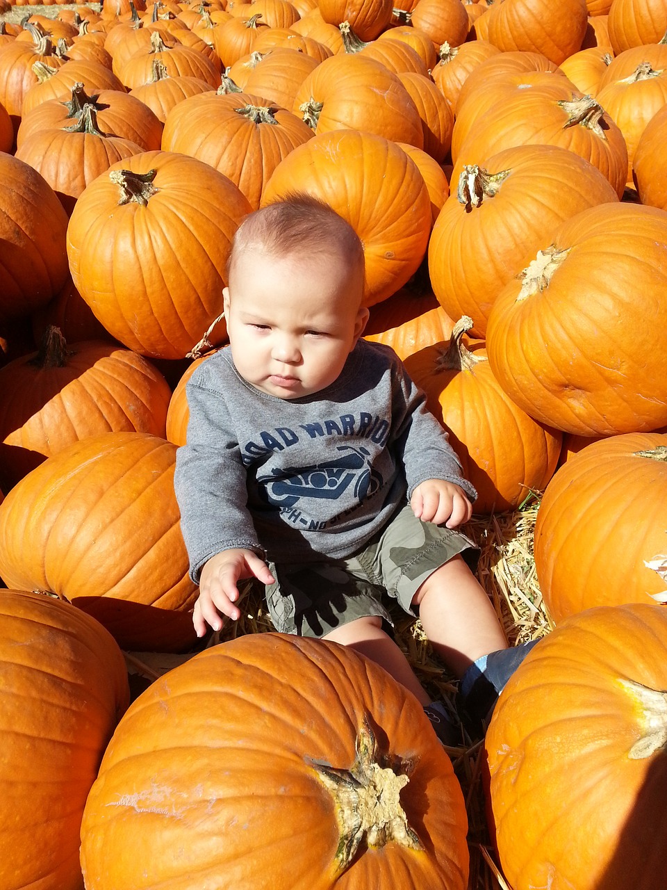 pumpkins toddler baby free photo