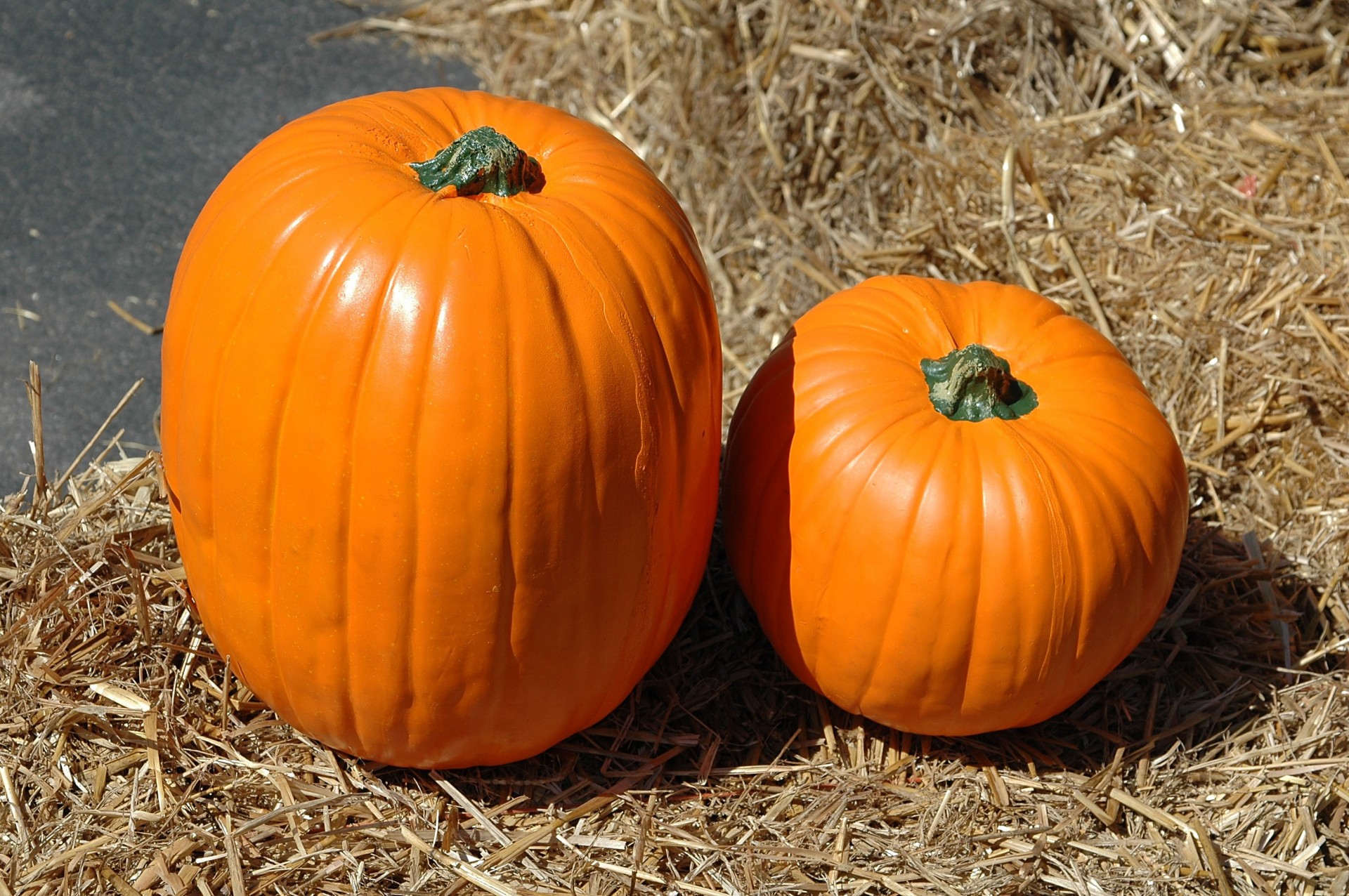 pumpkins vegetable orange free photo