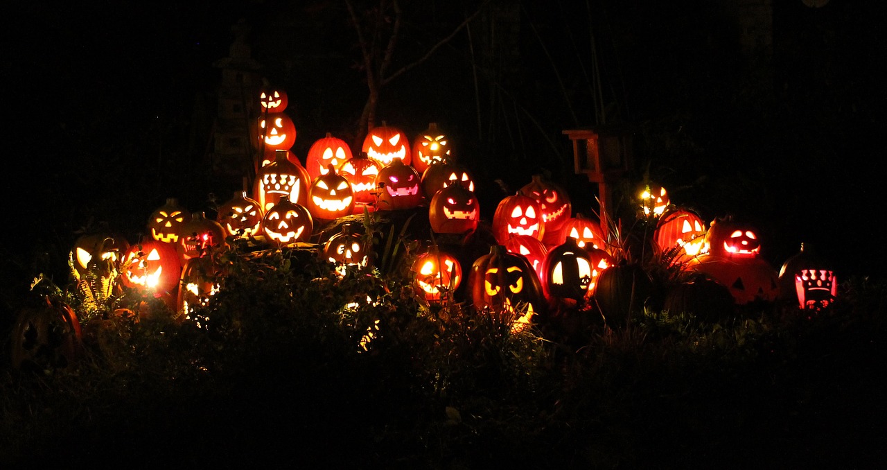 pumpkins jack-o-lanterns halloween free photo