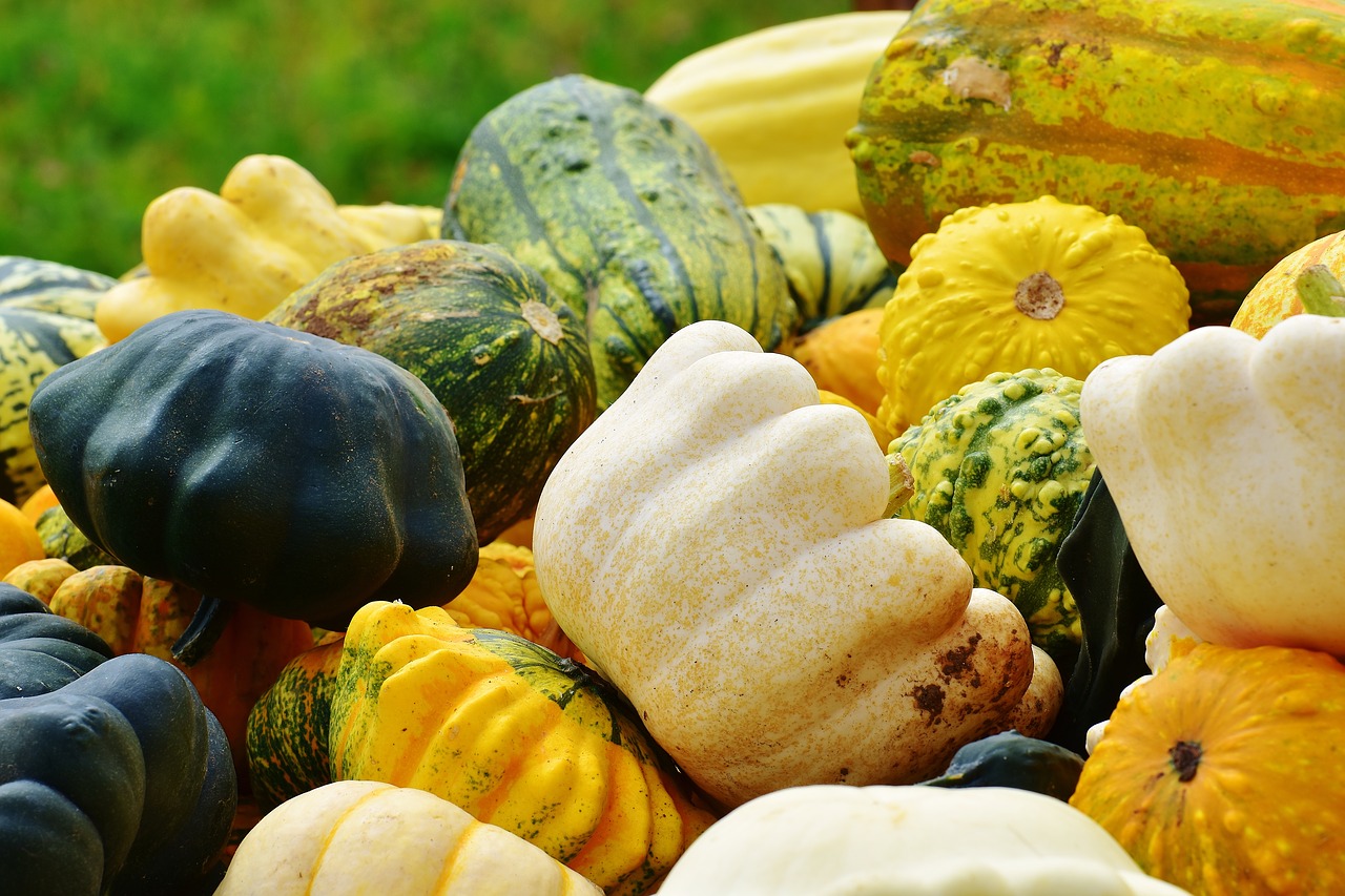 pumpkins autumn autumn decoration free photo