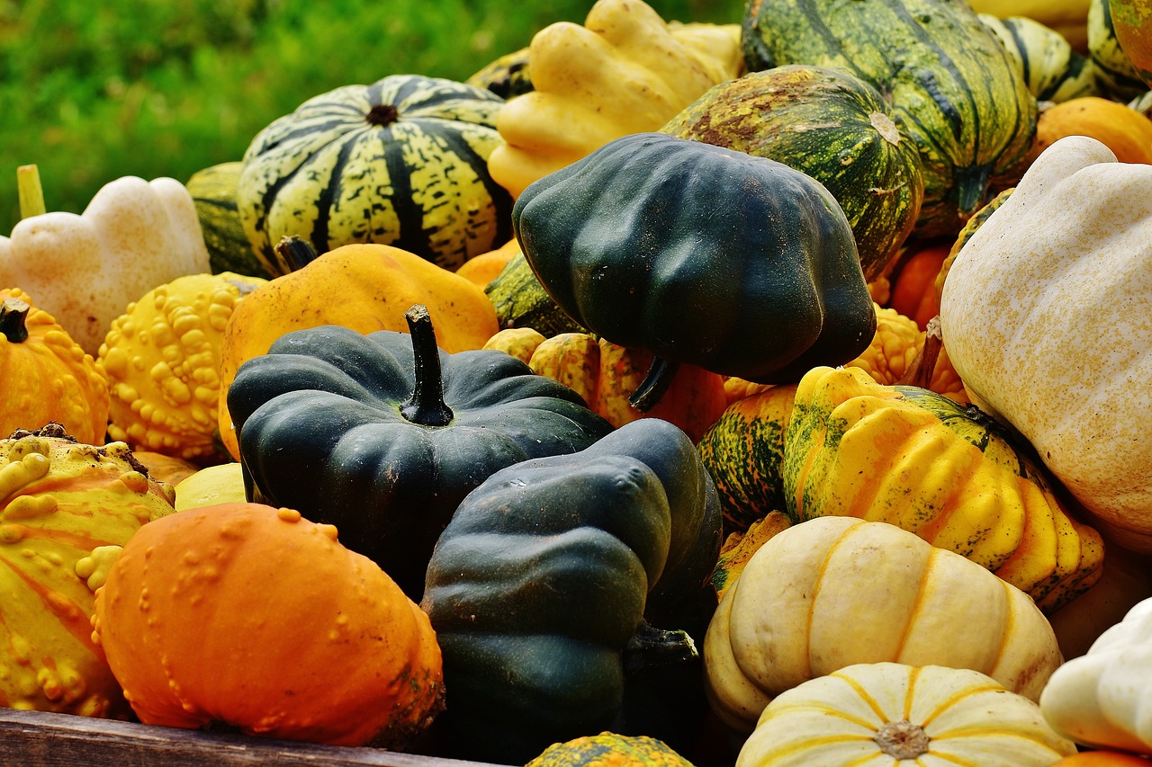 pumpkins autumn autumn decoration free photo