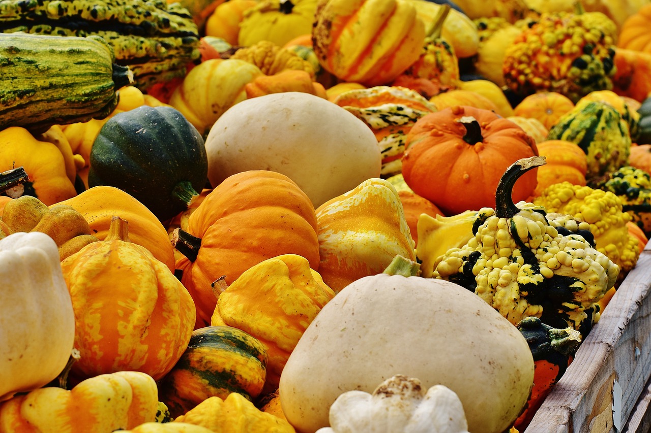 pumpkins autumn autumn decoration free photo