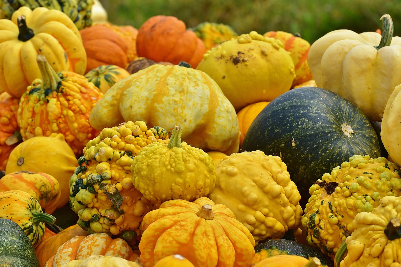 pumpkins autumn autumn decoration free photo