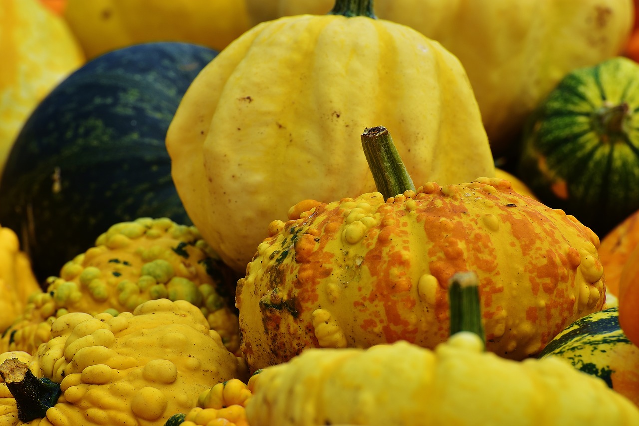 pumpkins autumn autumn decoration free photo