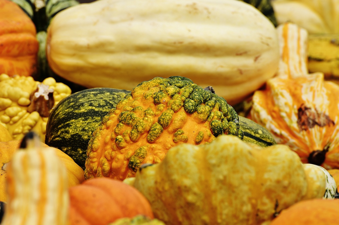 pumpkins autumn autumn decoration free photo