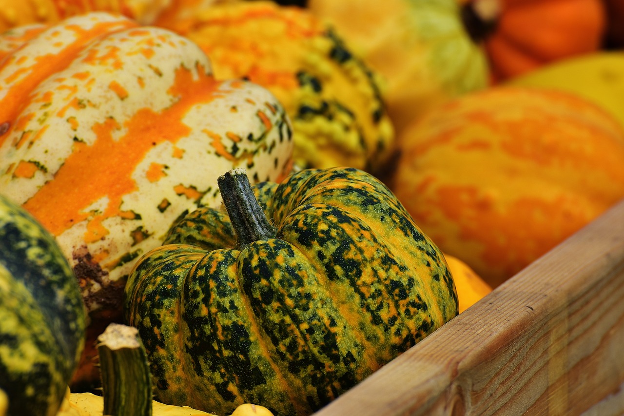 pumpkins autumn autumn decoration free photo