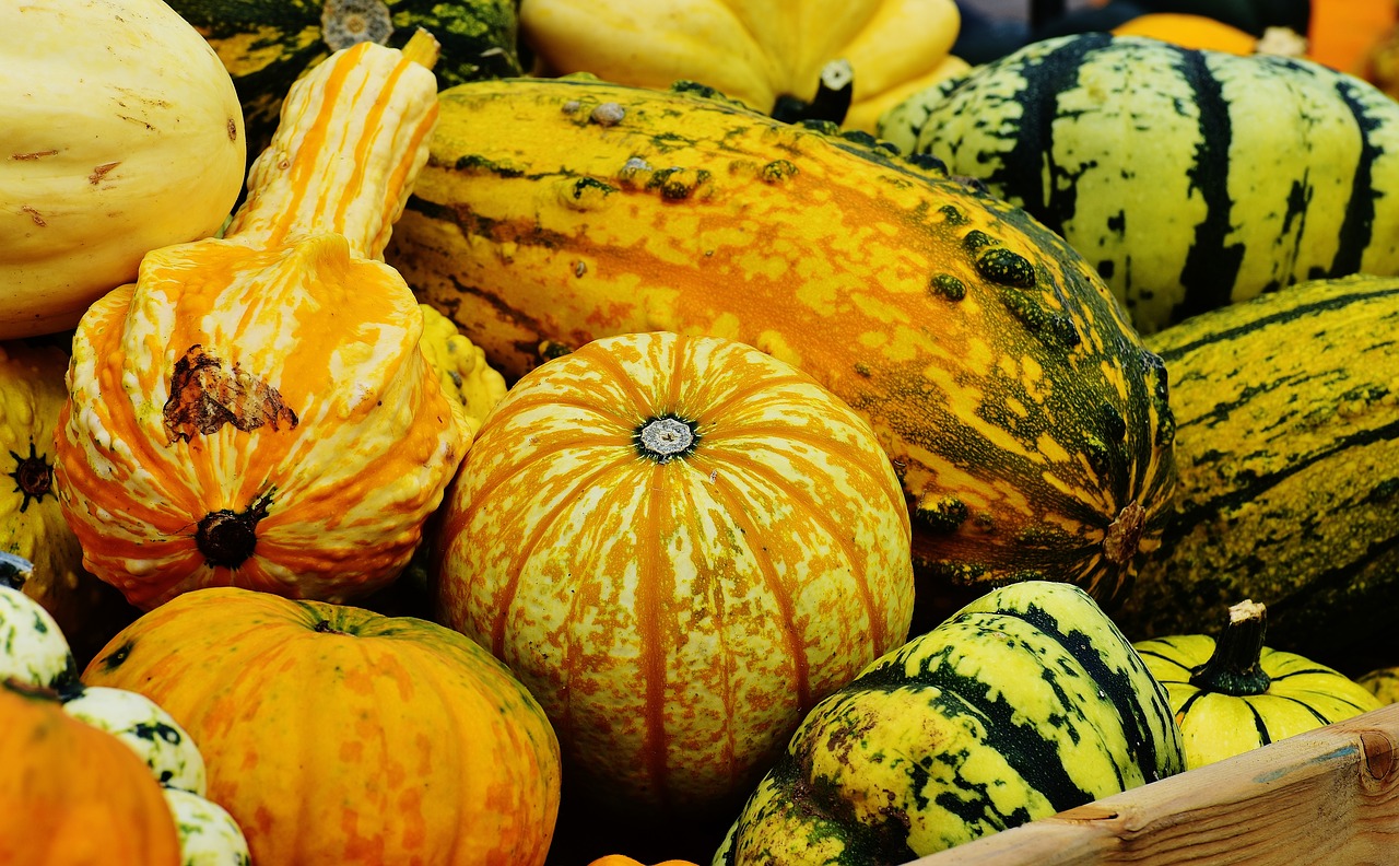 pumpkins autumn autumn decoration free photo