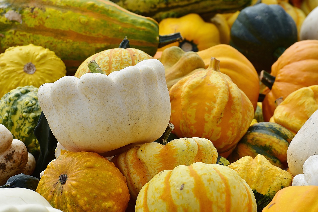 pumpkins autumn autumn decoration free photo