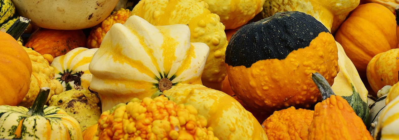 pumpkins autumn autumn decoration free photo