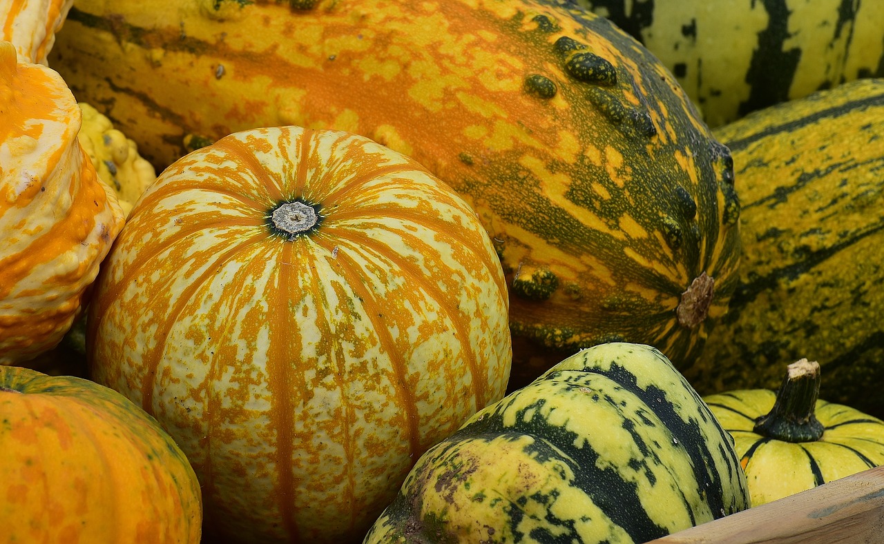 pumpkins autumn autumn decoration free photo