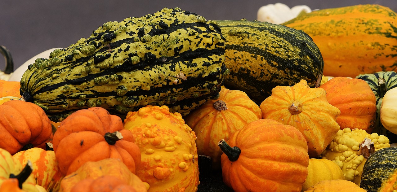 pumpkins autumn autumn decoration free photo