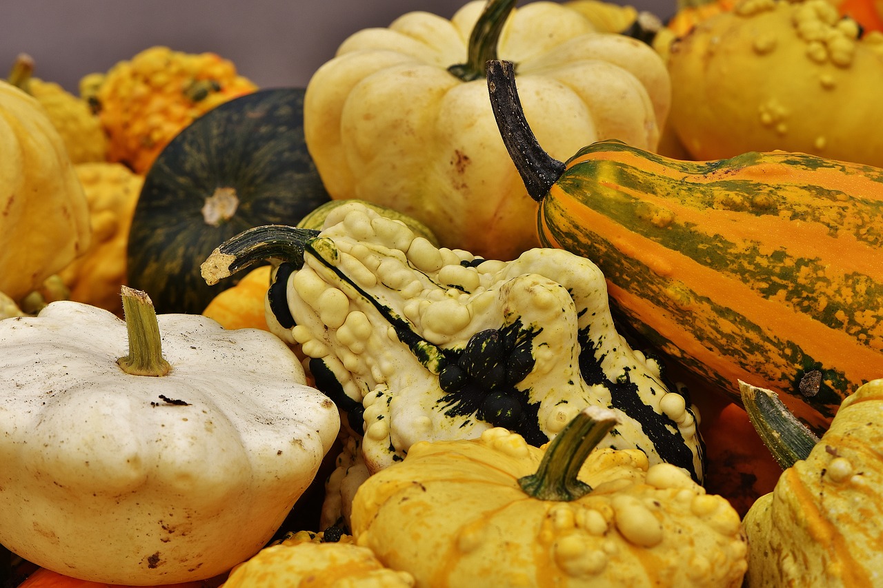 pumpkins autumn autumn decoration free photo