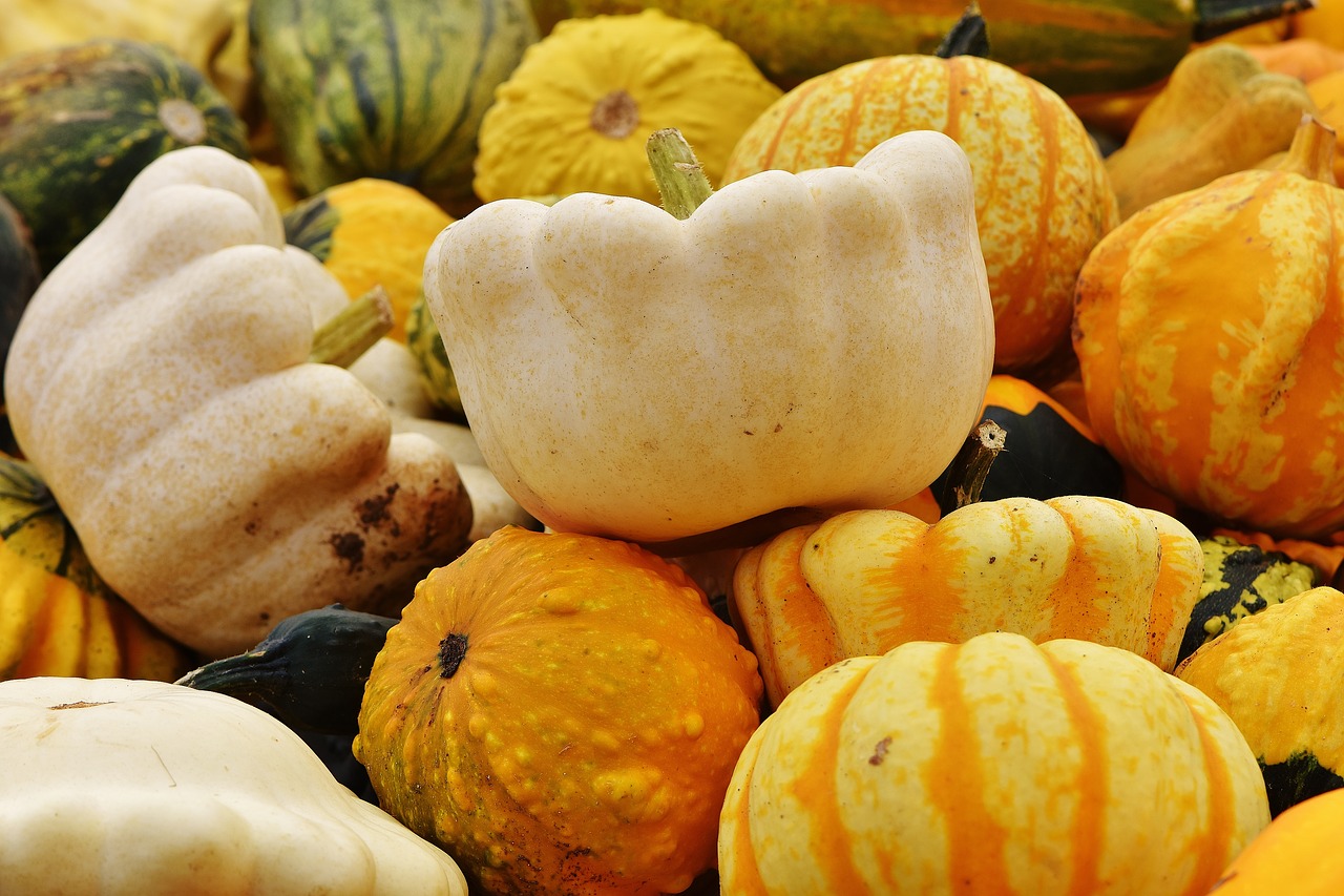 pumpkins autumn autumn decoration free photo