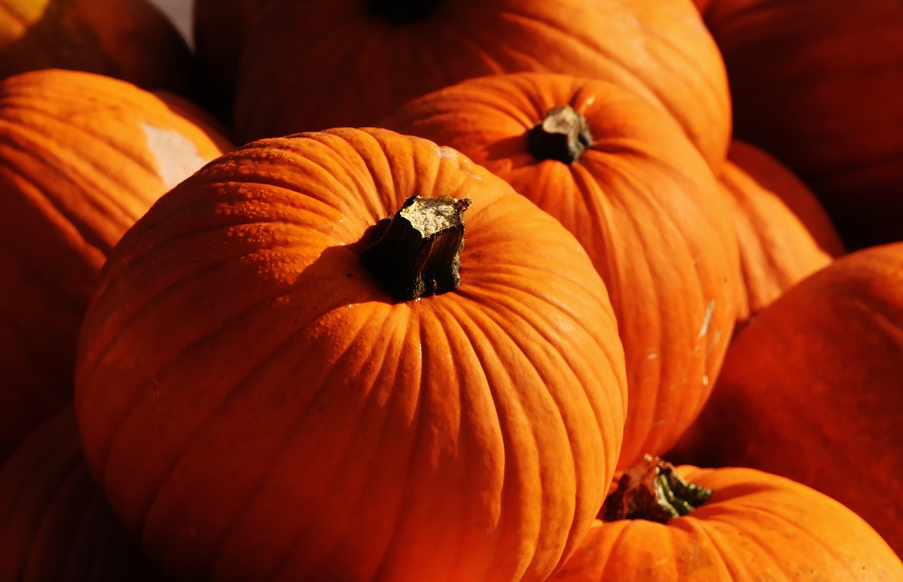 pumpkins autumn autumn decoration free photo