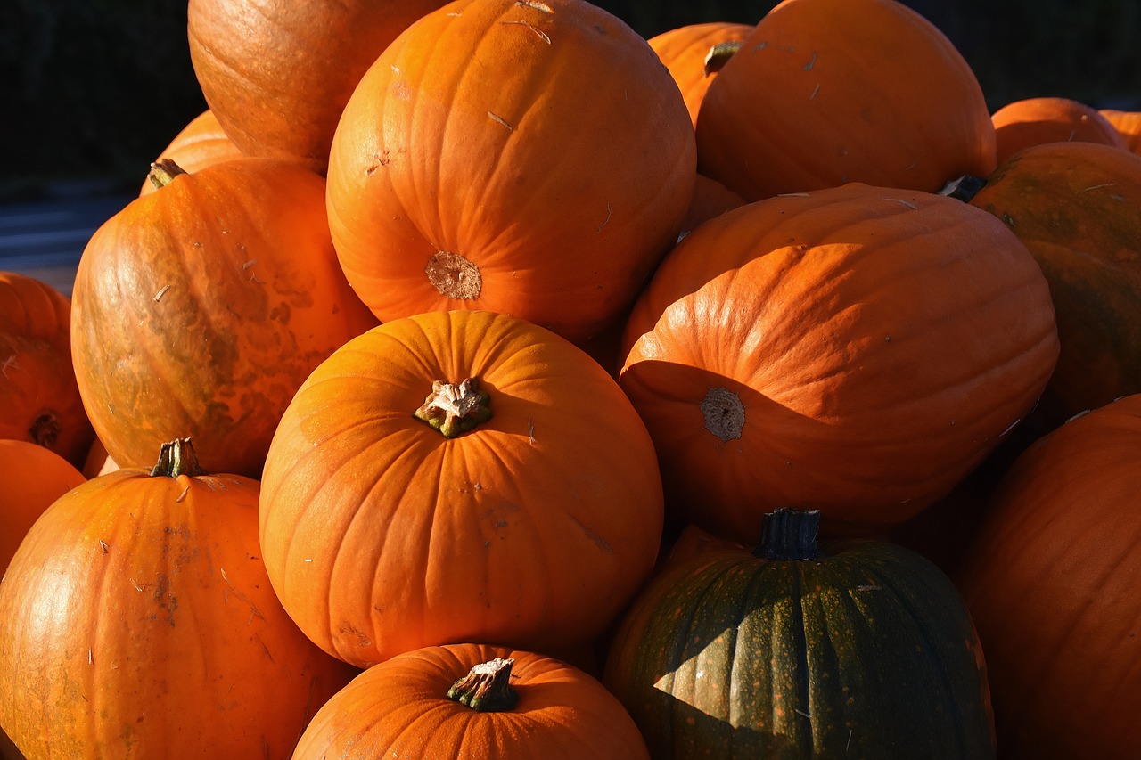 pumpkins autumn autumn decoration free photo