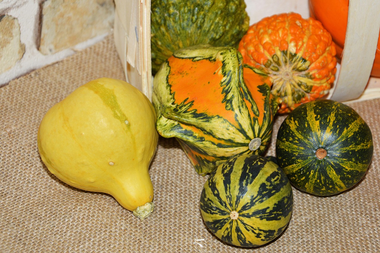pumpkins decorative squashes decoration free photo