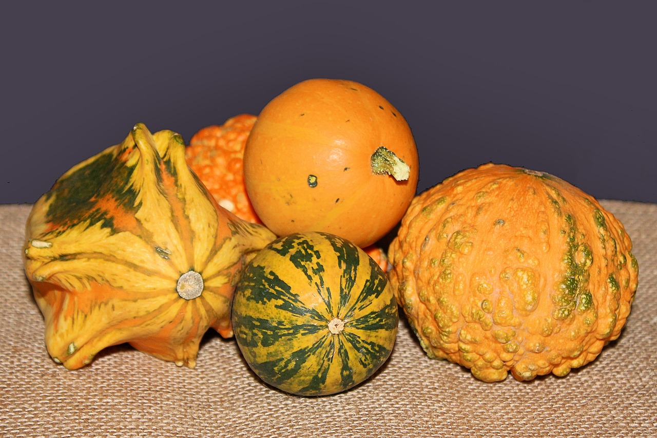pumpkins decorative squashes autumn free photo