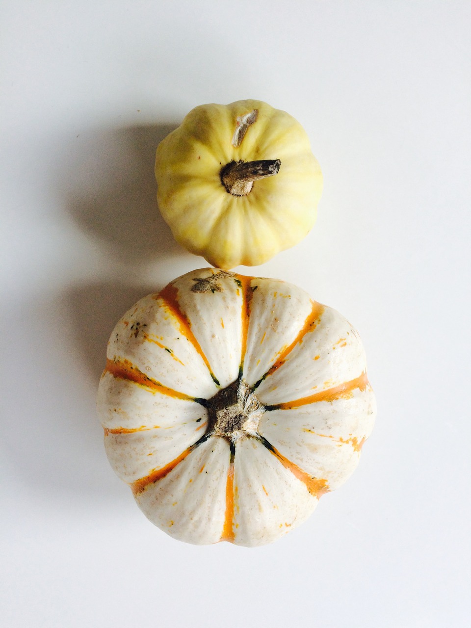 pumpkins fall art free photo