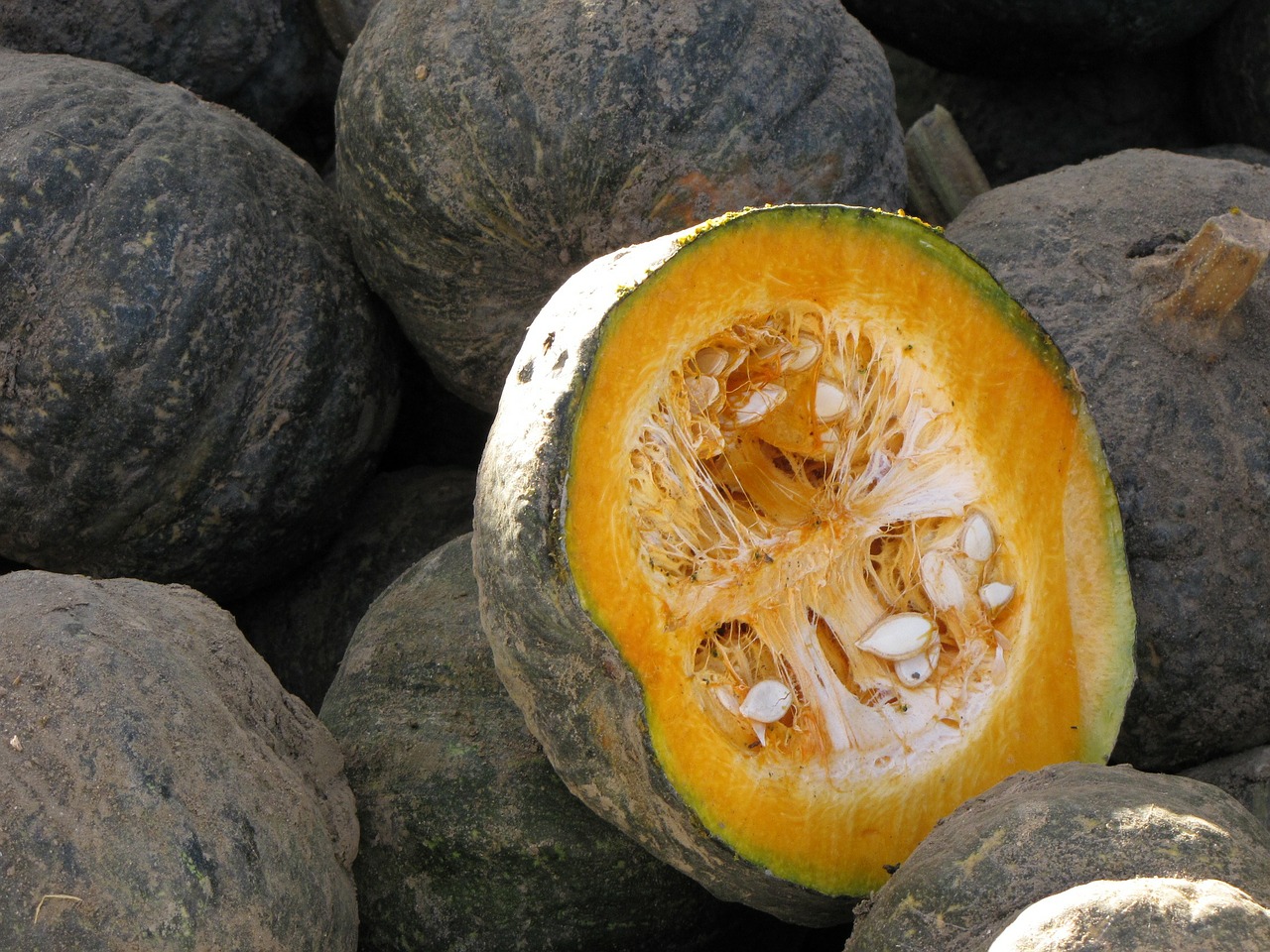 pumpkins pumpkin vegetables free photo