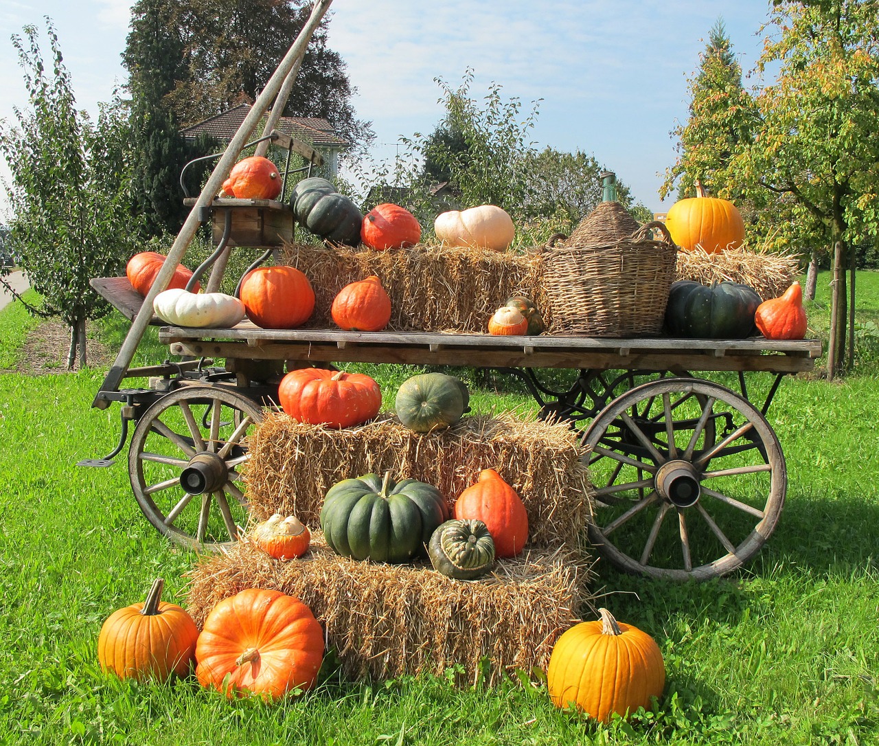 pumpkins decoration wooden wagon free photo