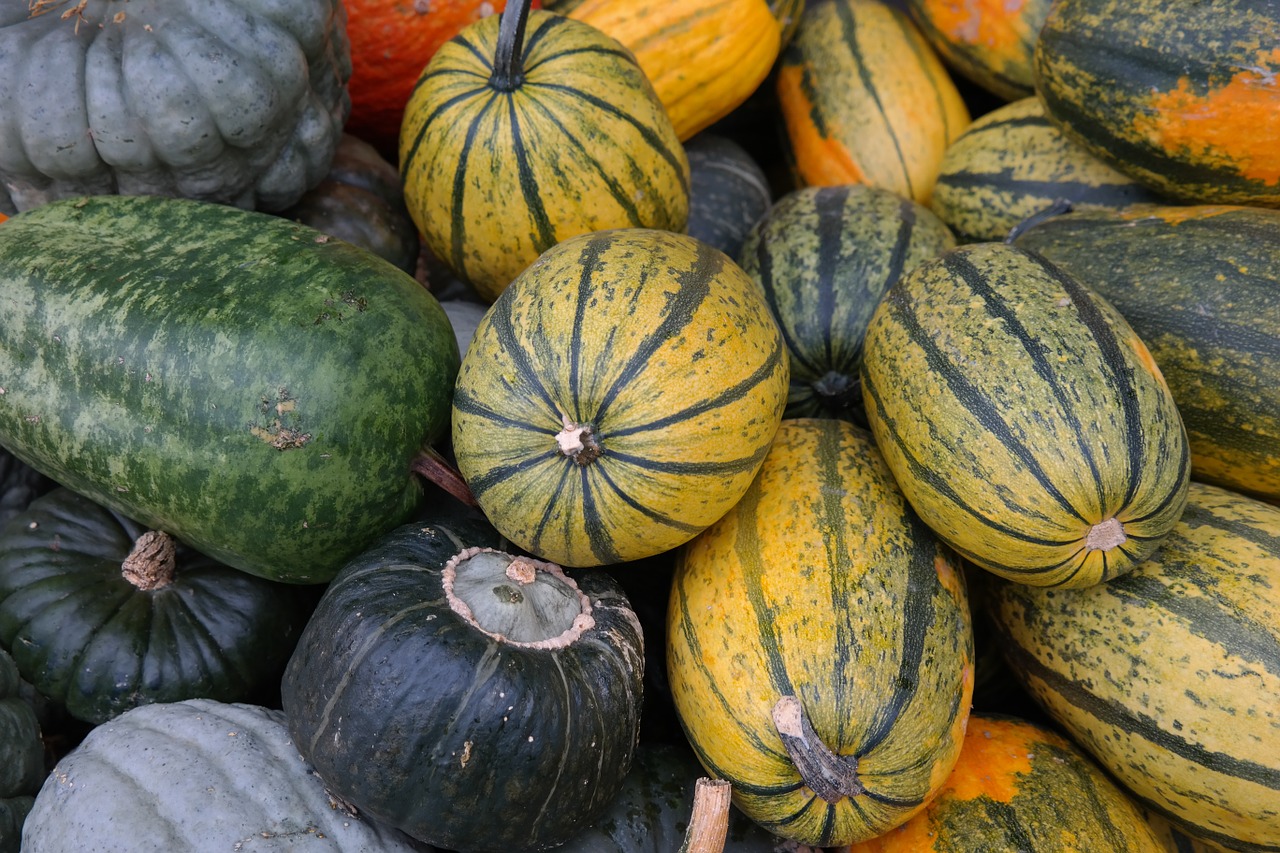 pumpkins spaghetti squash vegetables free photo