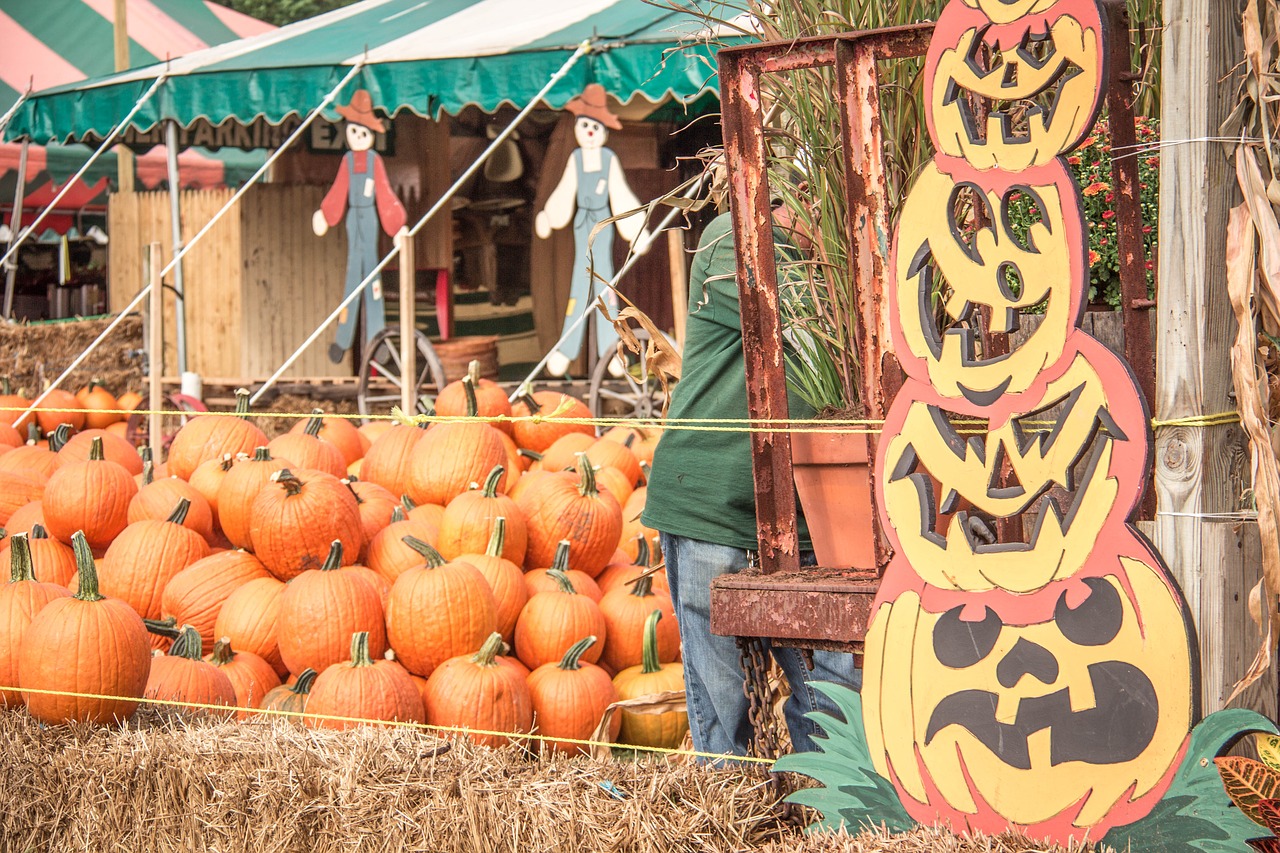 pumpkins fall halloween free photo