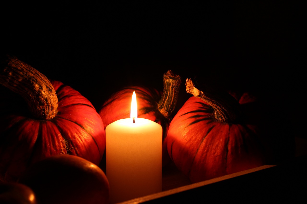 pumpkins candle still life free photo