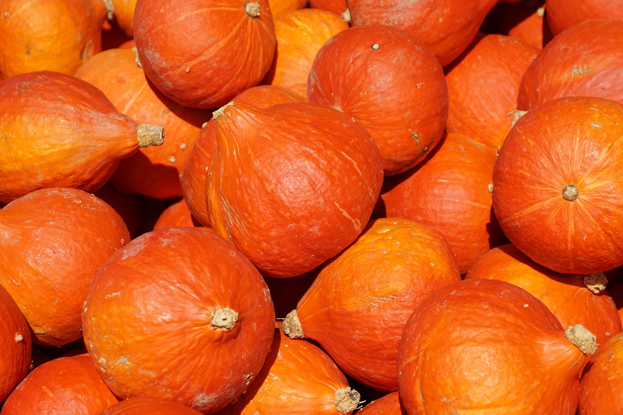 pumpkins pumpkin orange free photo