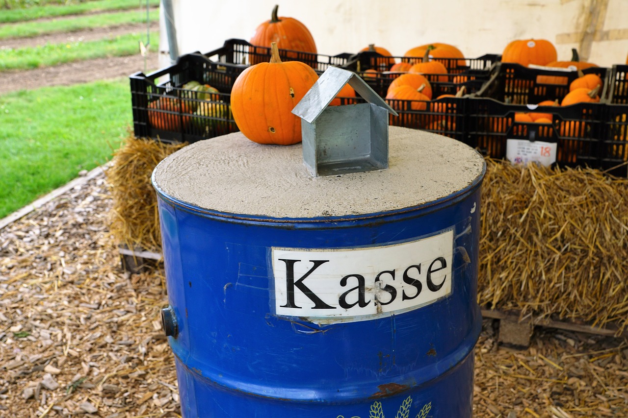 pumpkins vegan healthy free photo