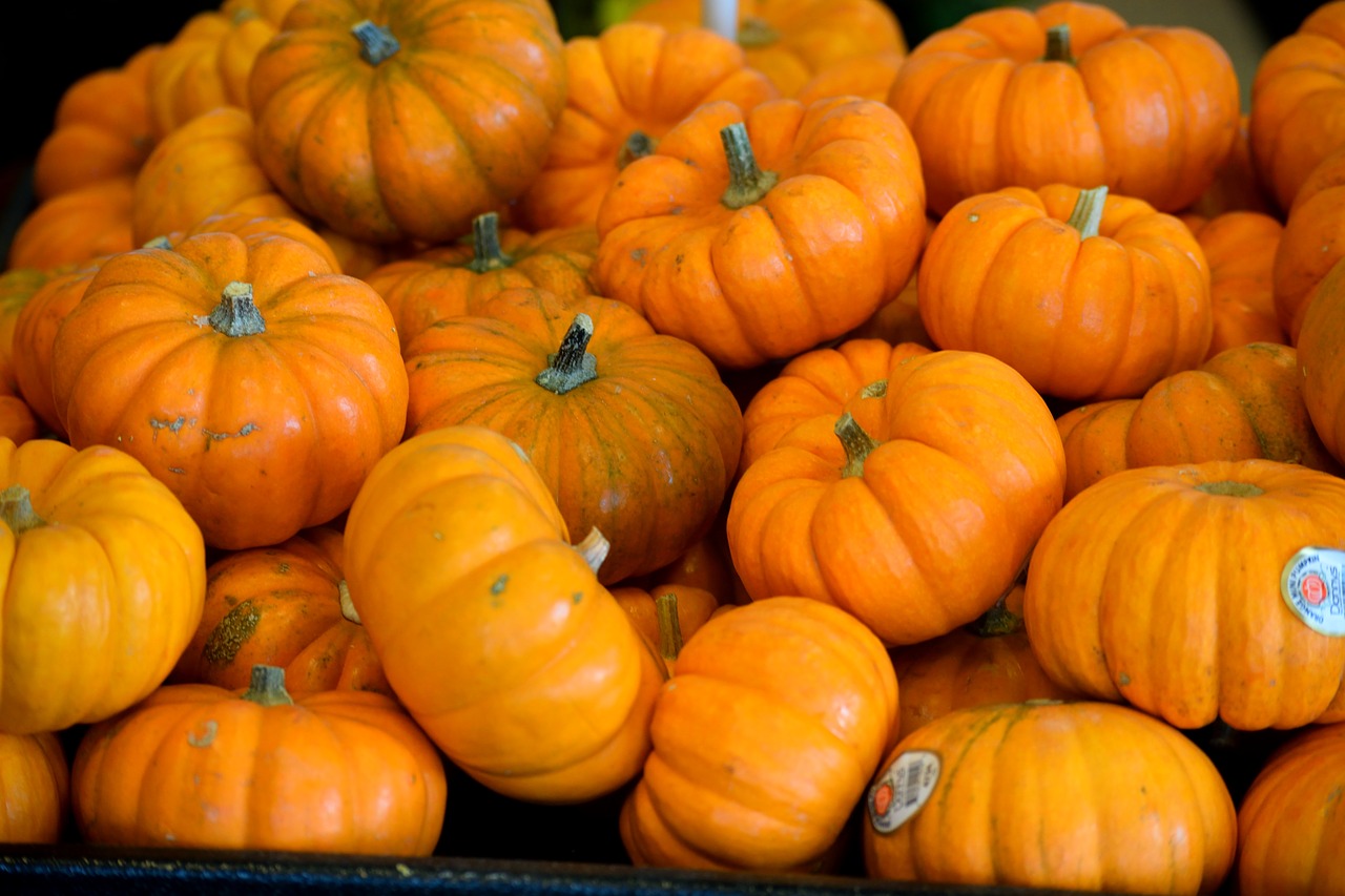 pumpkins vegetable food free photo