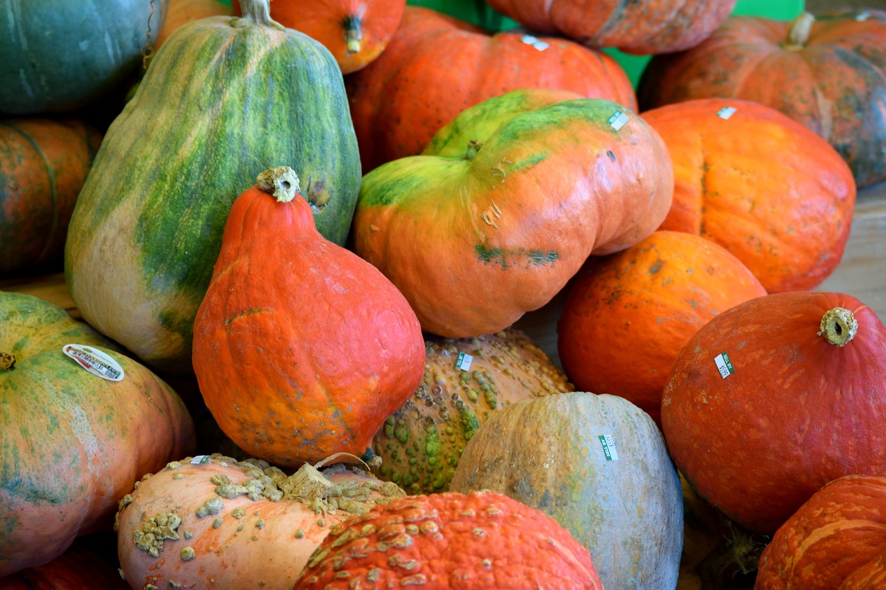pumpkins vegetable food free photo