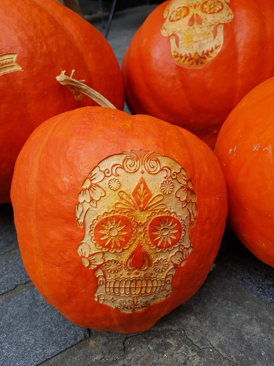pumpkins halloween skull free photo