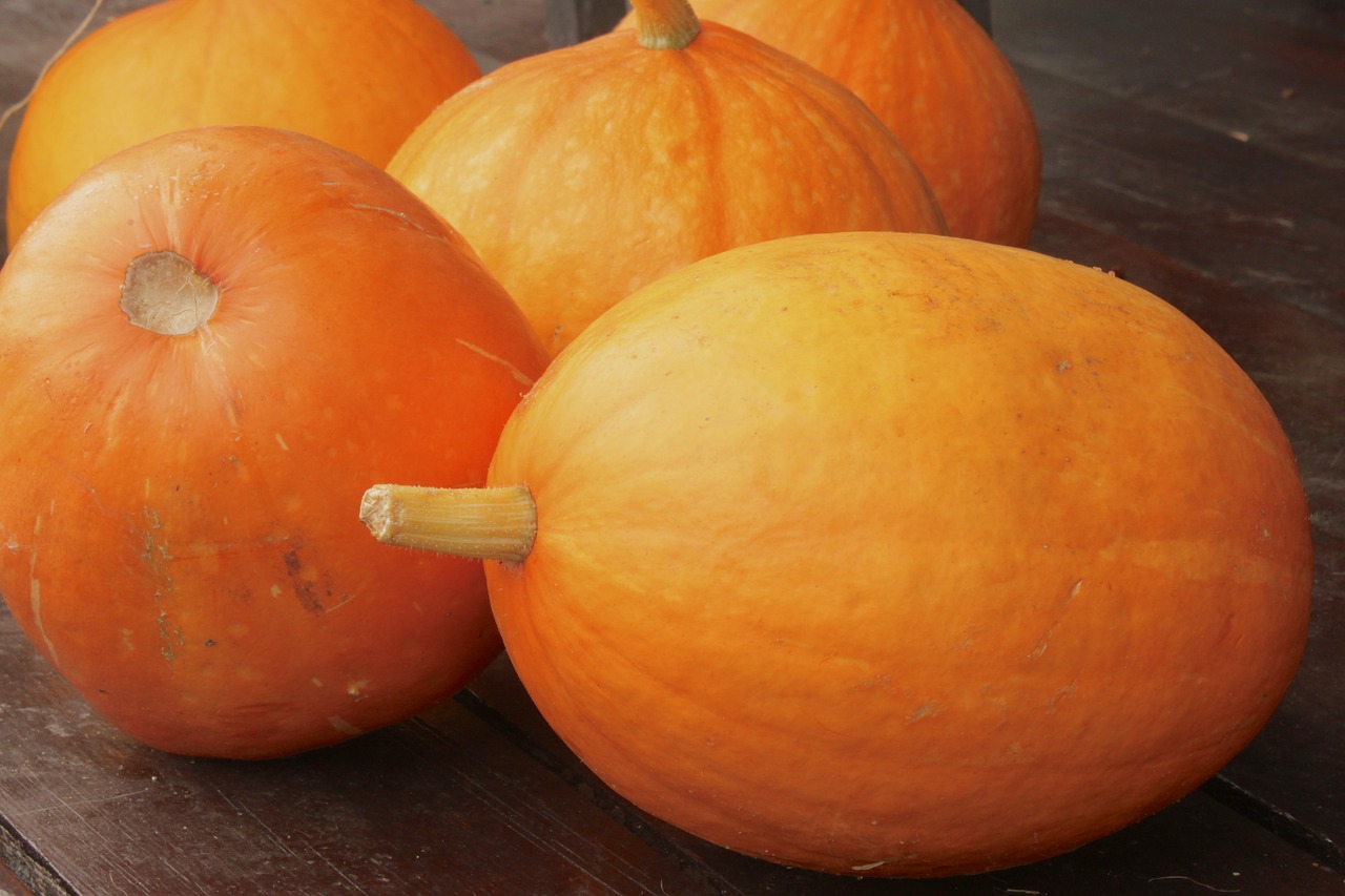 pumpkins  pumpkin  vegetables free photo