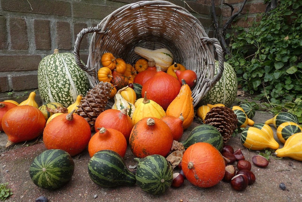 pumpkins  basket  autumn free photo