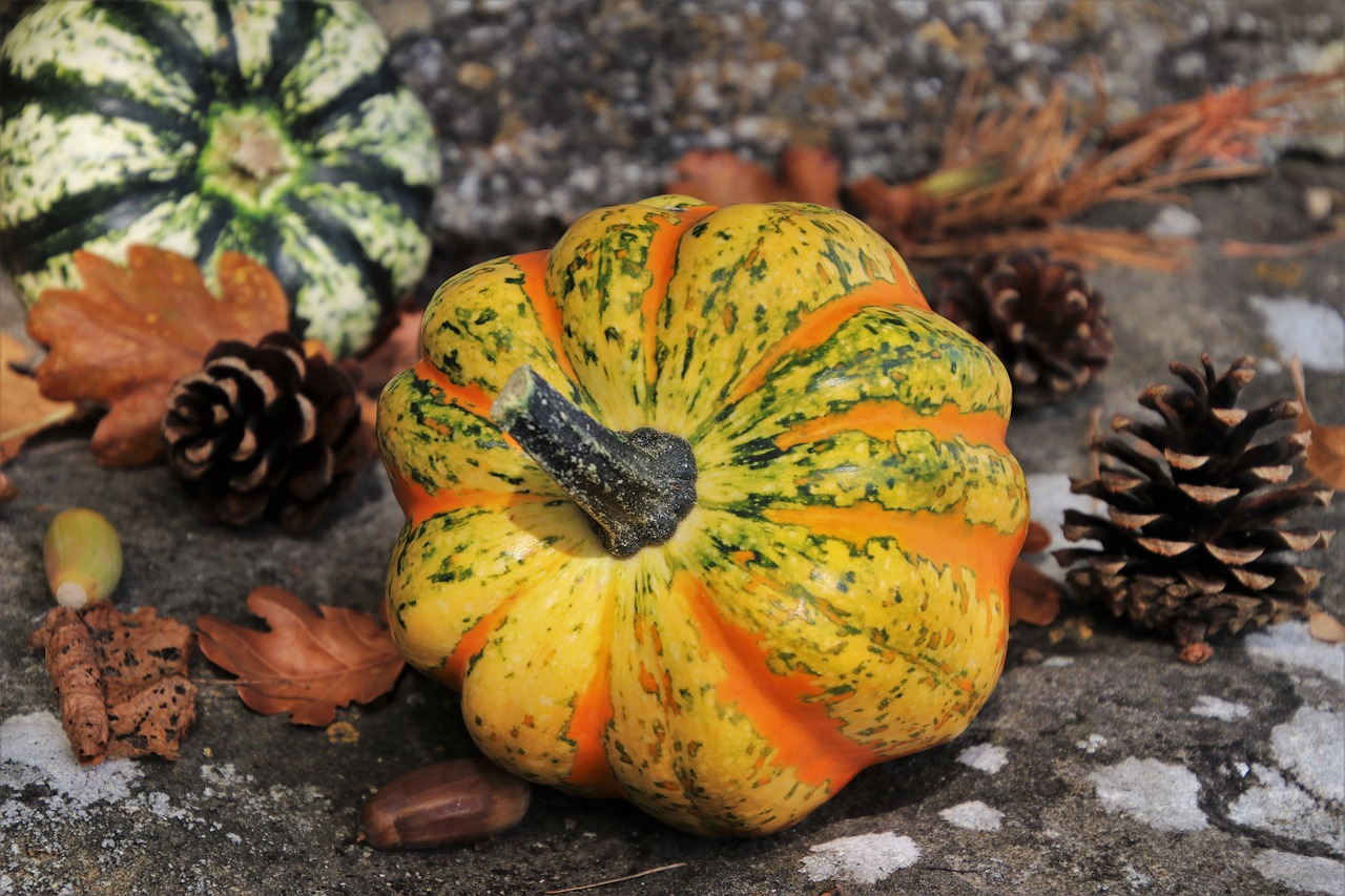 pumpkins  autumn  decoration free photo