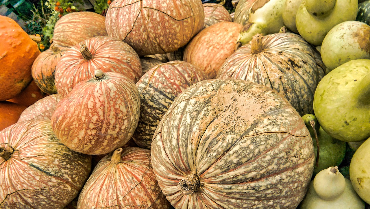 pumpkins  vegetables  halloween free photo