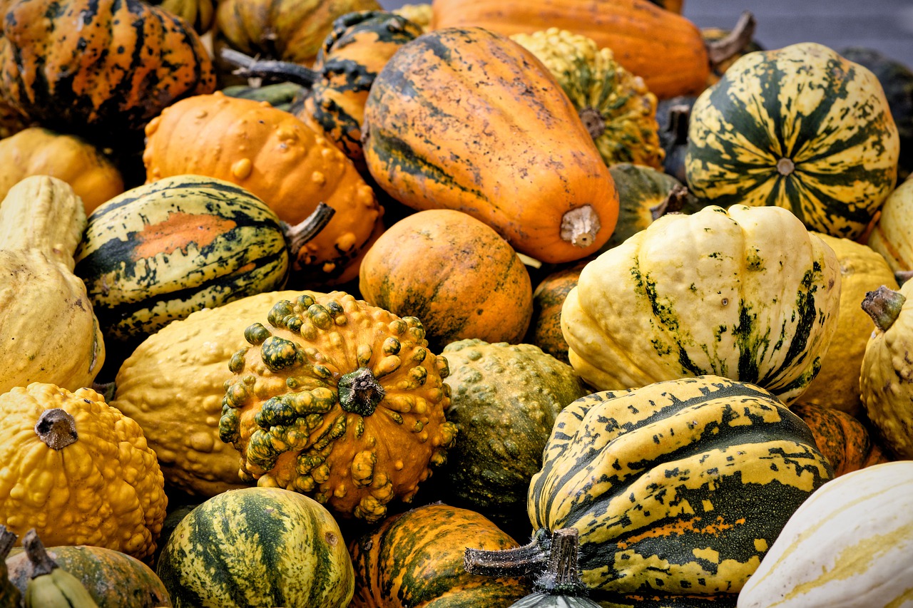 pumpkins  autumn  decoration free photo