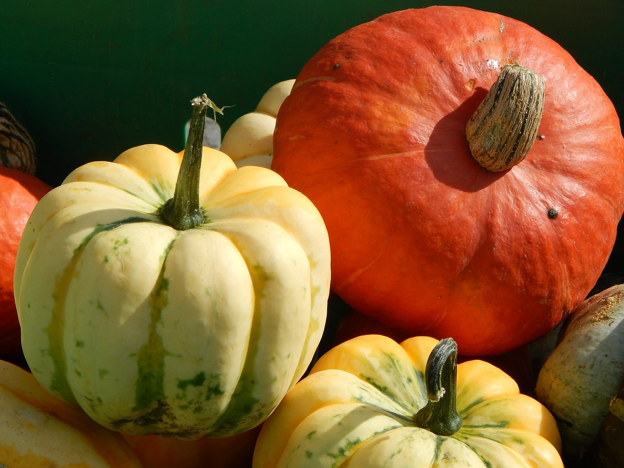 pumpkins squash produce free photo